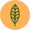 Icon representing VEGAN