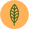 Icon representing VEGAN