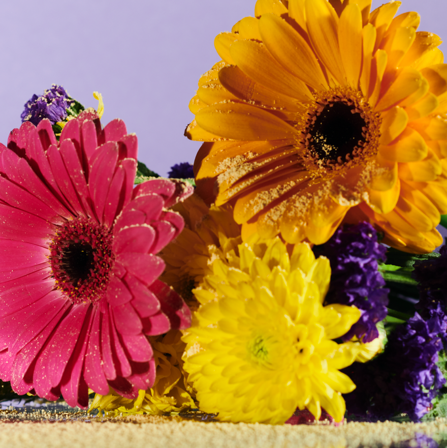 4 Tips to Manage Seasonal Allergies