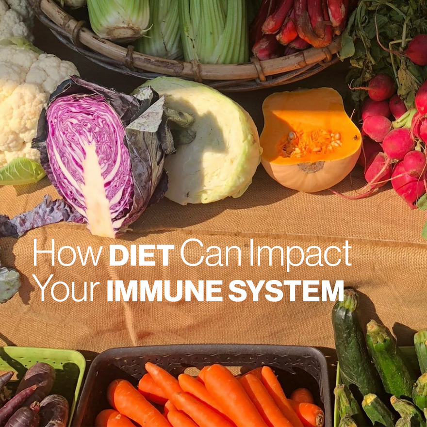 How Diet Can Impact Your Immune System