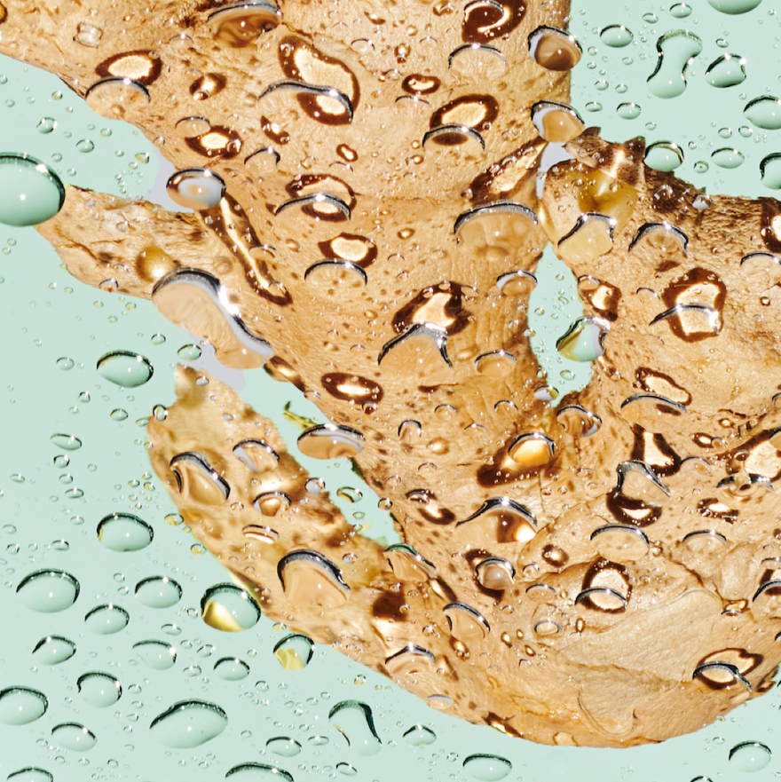 Ginger root in water