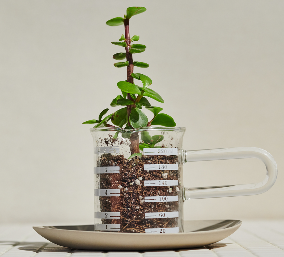 What "Natural Remedies, Backed by Science" Means To Us