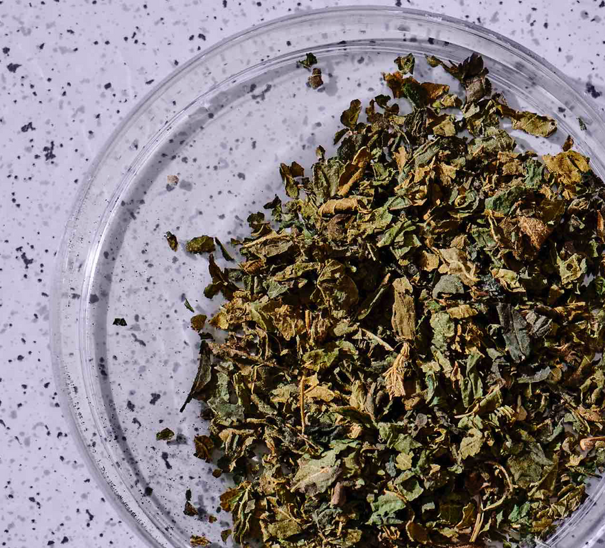 Stinging Nettle Benefits: Science, Benefits, and Side Effects