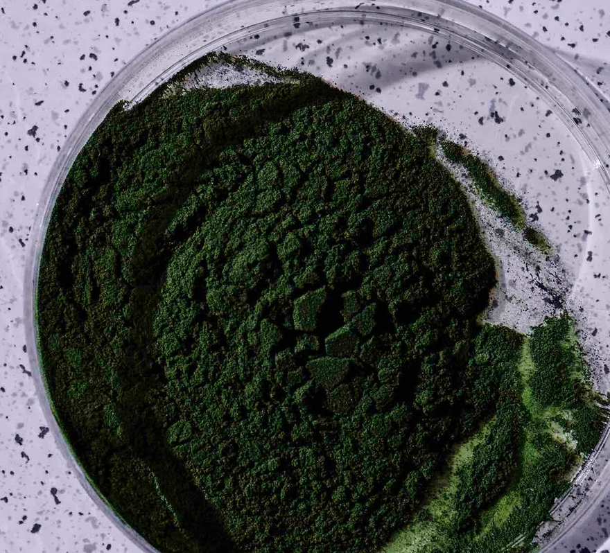 The Benefits & Science of Spirulina