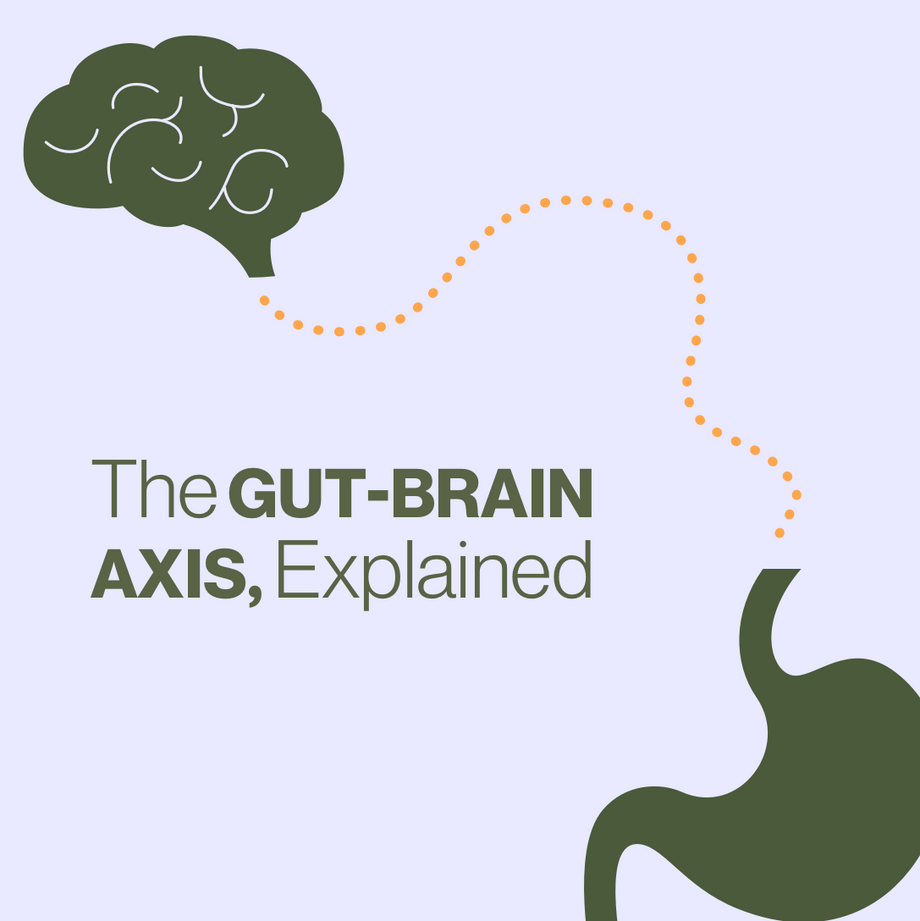 Gut-Brain Connection: The Gut-Brain Axis Explained