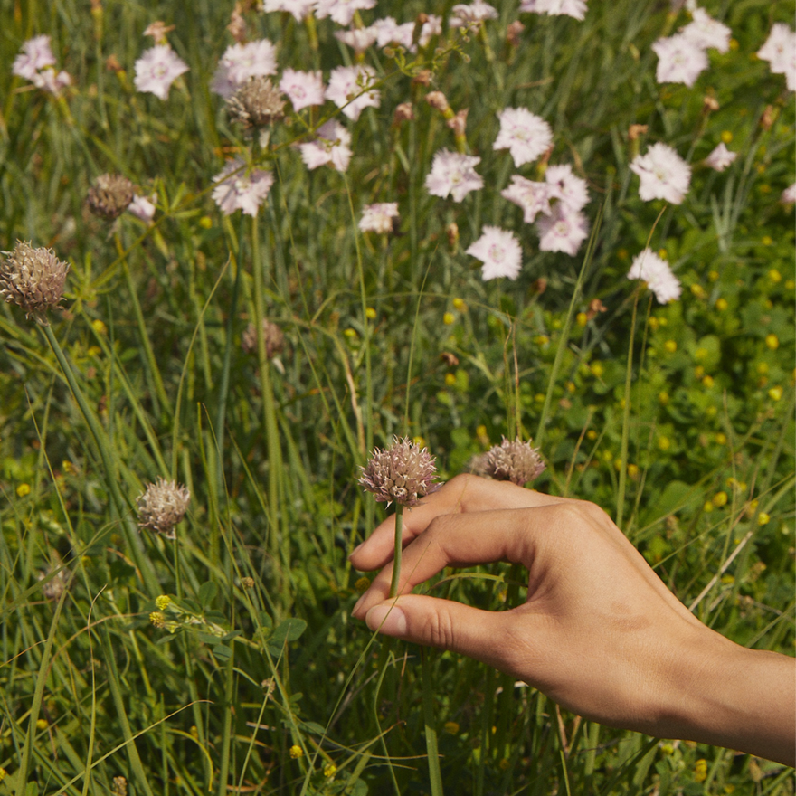 Why do seasonal allergies happen and why are some people more prone to them than others?