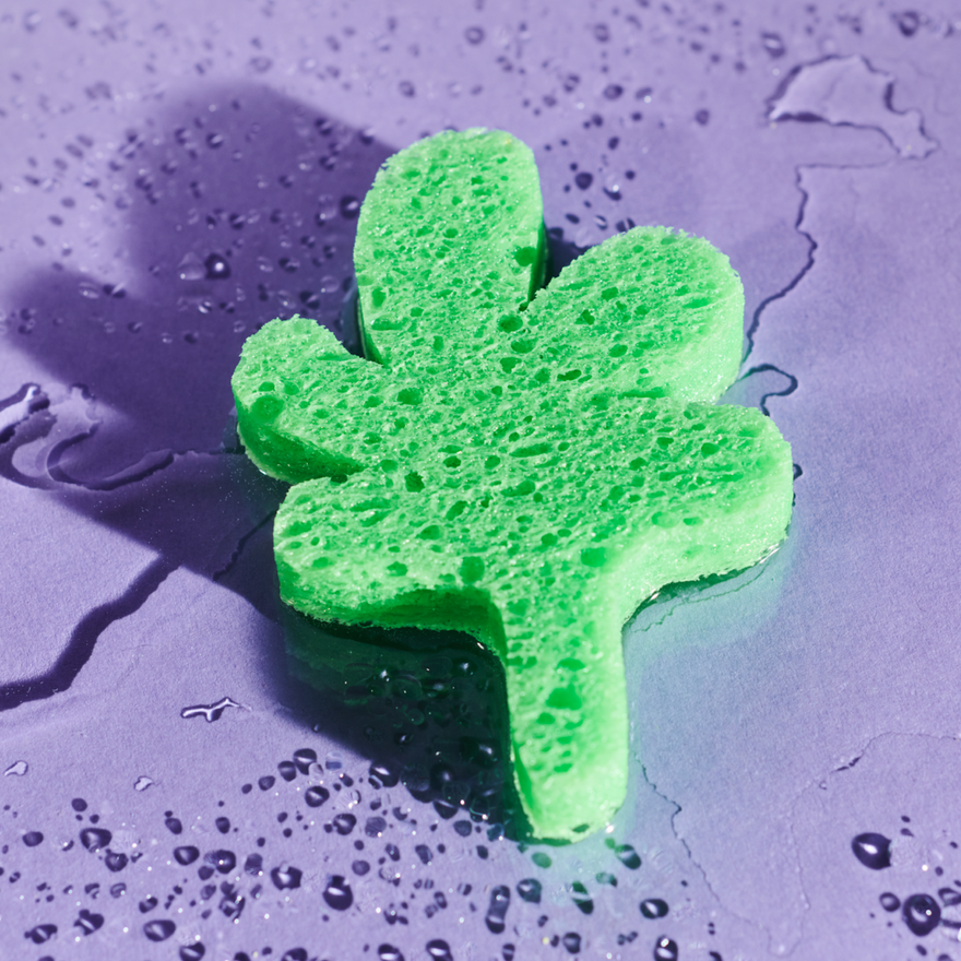 Hydration and Your Gut, Explained by a Doctor