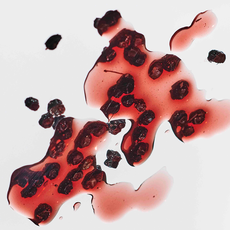 The Benefits and Science of Elderberry