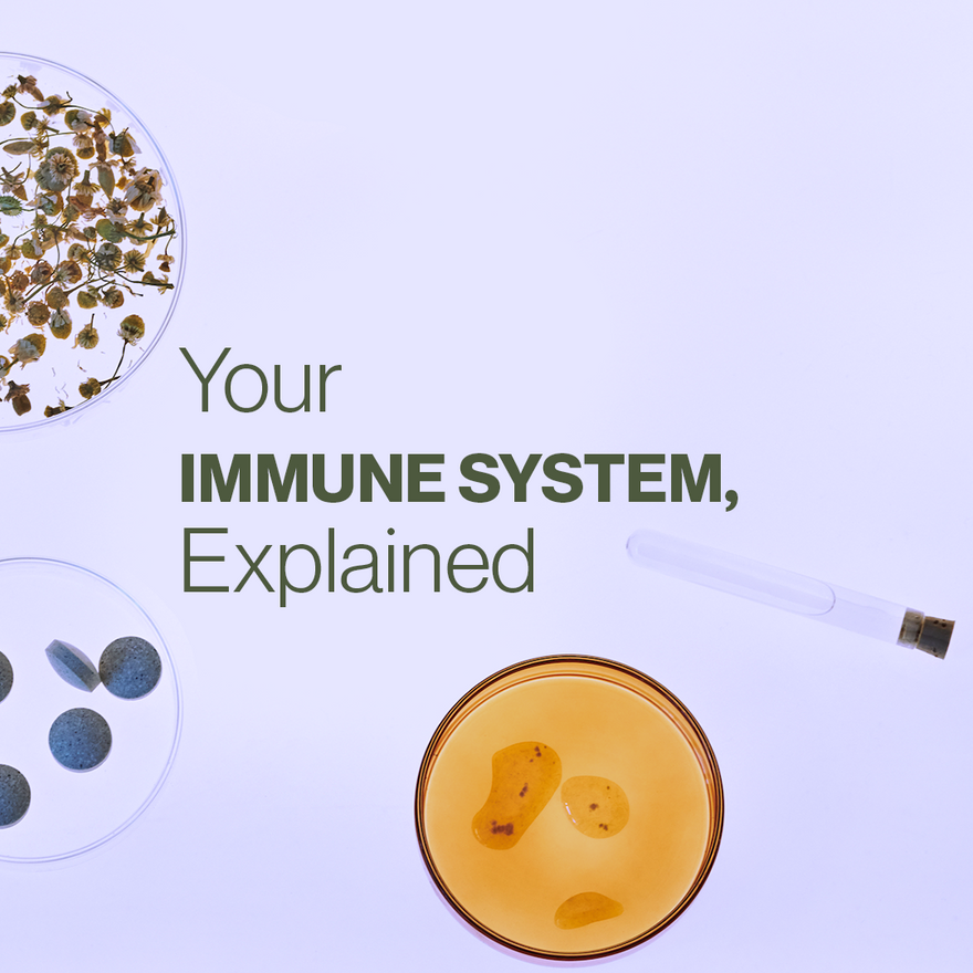 Your Immune System, Explained by a Doctor