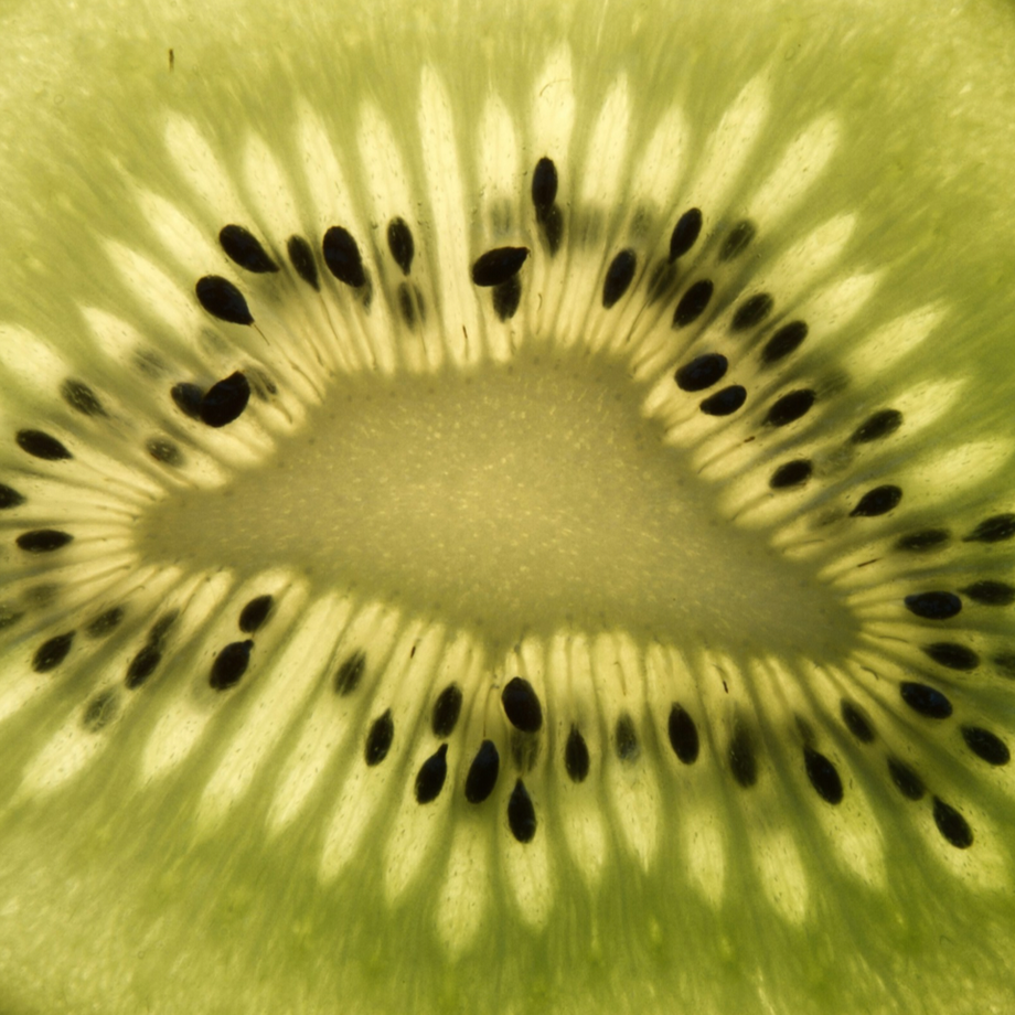 Natural Remedies for Constipation