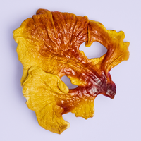 Reishi mushroom on a purple background