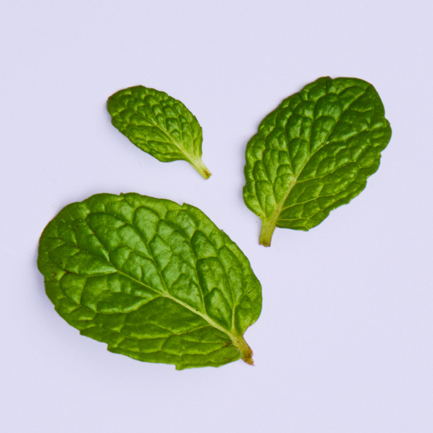 Peppermint leaf