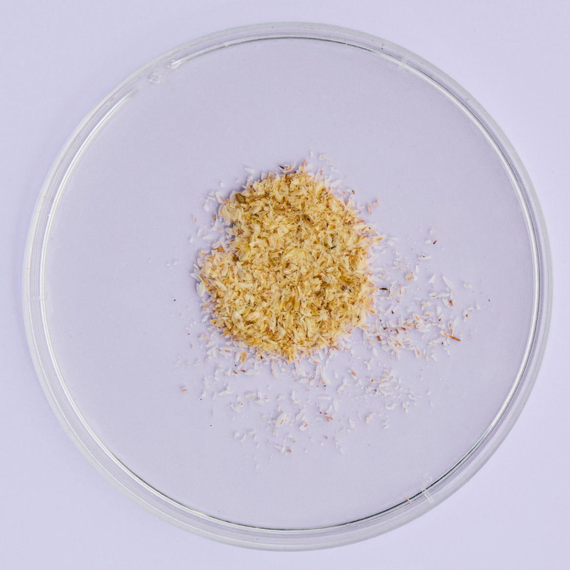 Psyllium Husk Powder
