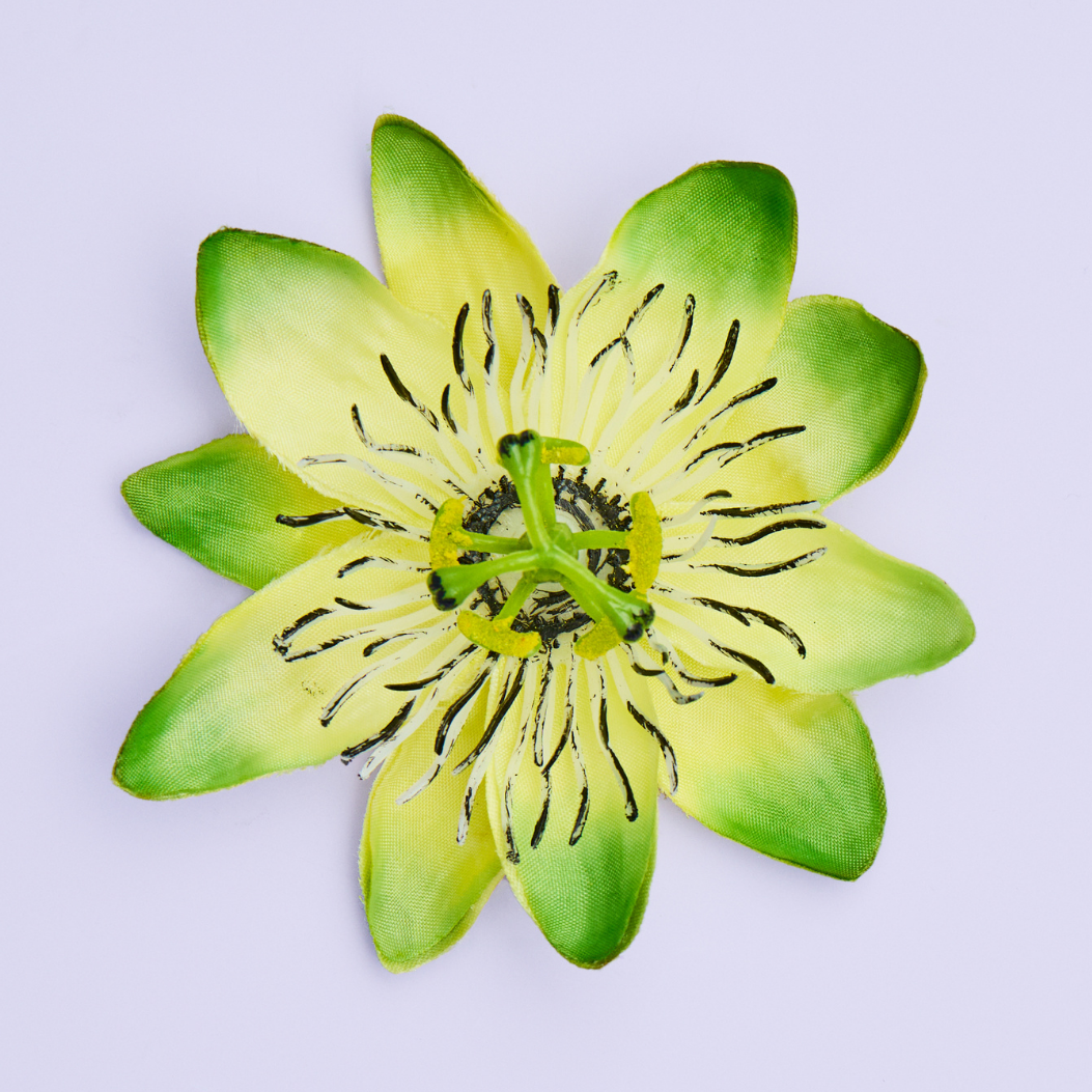 Passionflower on a purple background