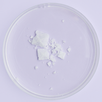 sea salt in petri dish