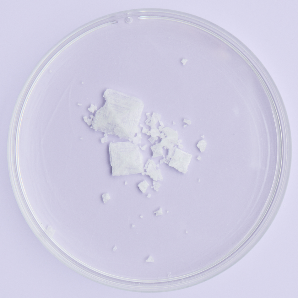 sea salt in petri dish