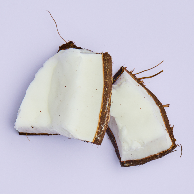 Pieces of coconut on purple background