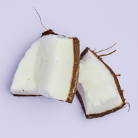 Pieces of coconut on purple background