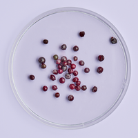 Elderberries on a petri dish on purple background