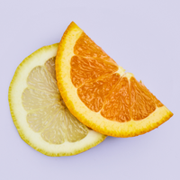 Lemon slice and orange slice on a purple background