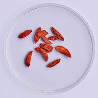 Gogi berries in a petri dish on a light purple background