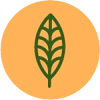 Icon representing Vegan