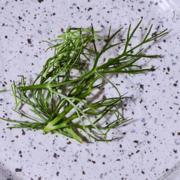 Fennel on purple speckled background