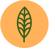 Icon representing Certified Vegan