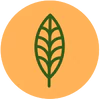 Icon representing Certified vegan
