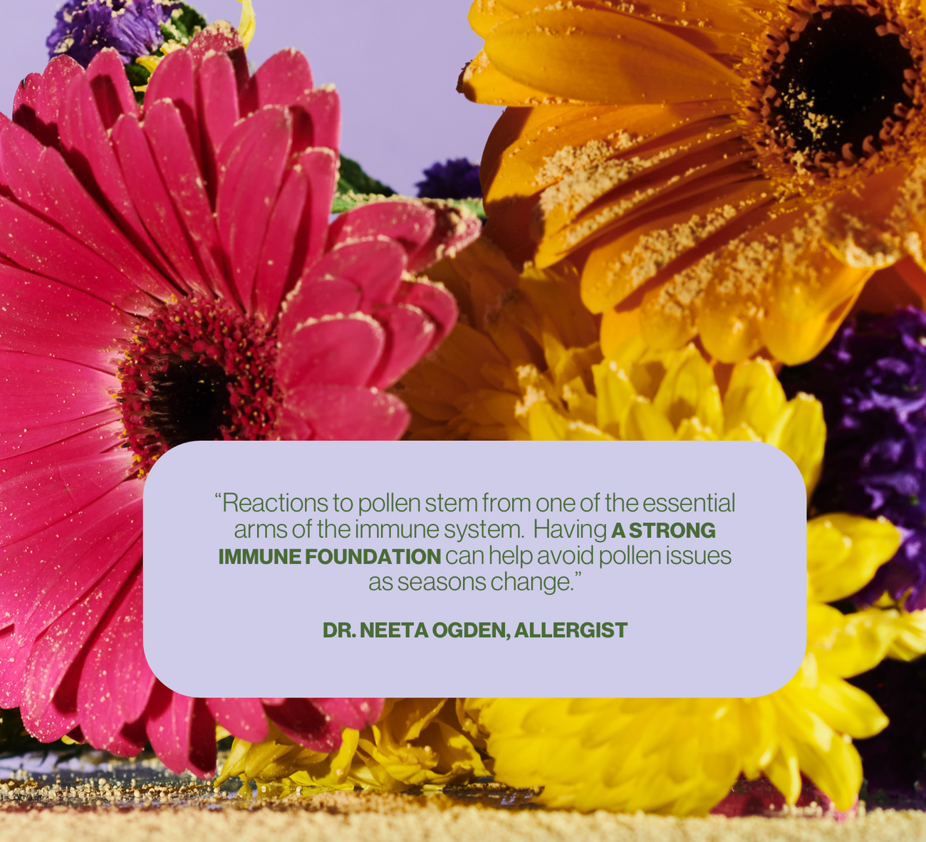 Seasonal Transition Set